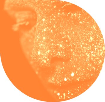 AI abstract image